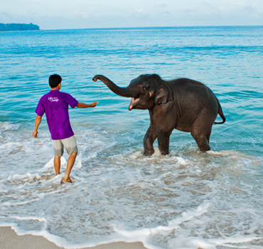 images for elephant island andaman